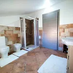 Zeus Casa